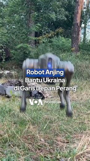 5.7K views · 59 reactions | Robot anjing kemungkinan akan menjadi...