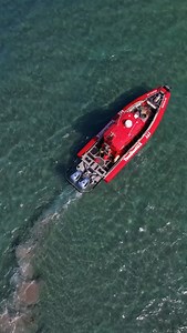 10K views · 187 reactions | A few sharks working the sandbars inside St Lucie inlet. People always ask if we’re worried about sharks while we do under water work, or night dives. I guess it’s just part of the job description, but most of the time they leave you alone. #captainretriever #sharks #boating #inlet #stuartflorida #river #drone #sharkweek | Captain Retriever | Facebook