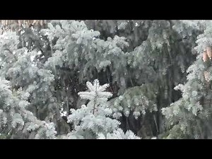 Thunderstorm 101: The Basics Explained