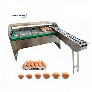 [Hot Item] Egg Sorter Processing Grading Egg Sorting Machine