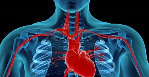 Por que infecções em geral podem ameaçar o coração? | Letra de Médico