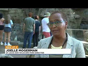 Saint Louis Zoo provides new updates on WildCare Park