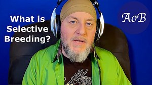 An Introduction to Selective Breeding