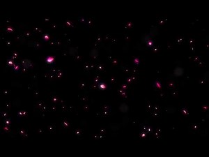 Falling Flower Cherry Blossom Petals - Background