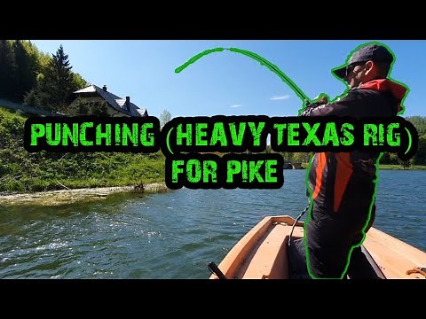 Punching (texas rig) for Pike - full tutorial