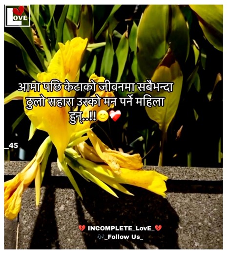 132K views · 4.6K reactions | ❤️❤️❤️ | Incomplete Love | Facebook