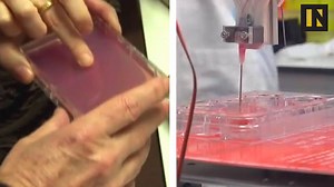 We can now add 'functional human skin' to the list of things 3D printers can create. | Inverse