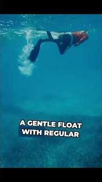 Snorkeling Fun for All Ages and Skill Levels