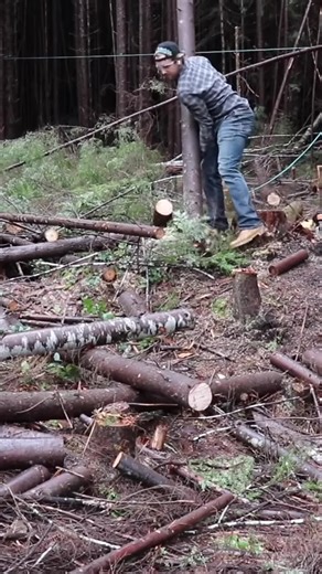 Part 1-HOT WATER SHOWER from FOREST LOGS & TREES Outdoor Shower Bushcraft #Jake&Nicolle #JakeandNicole #offthegrid #Gardening #bushcraftsurvival #survival #offgrid #fyp