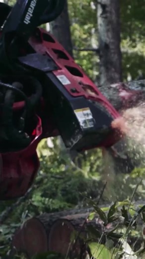 🌲Making the most of forest resources🌳 Forests preserved through generations. Success in forestry as a business is key to sustainable use of resources. Forestry harvester machinery with i-Logger Value Backing system cuts each tree at optimal diameter and length to maximize value. ICT forestry machinery supports sustainable forestry in forests around the world 🪵 👇Learn more: https://www.hitachicm.com/global/en/corporate/business-case/case2/ #LANDCROS #ForestryMachinery #Sustainability | Hitach