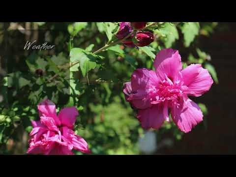 Point. Click. Breathe