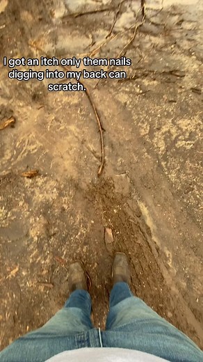 The Perfect Solution for Itchy Backs