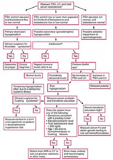 Male Hypogonadism - Genitourinary Disorders - Merck Manual Professional Edition