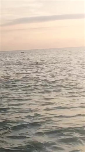 OMG 😲 why nobody help | Chenelen Lomi Hauz