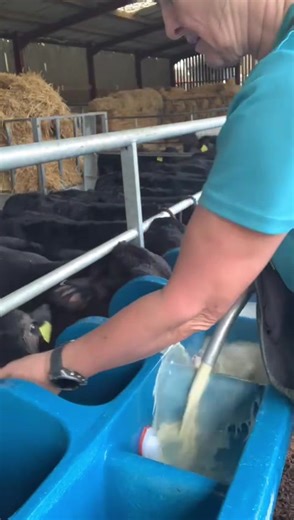 Exploring Farming Practices in Somerset