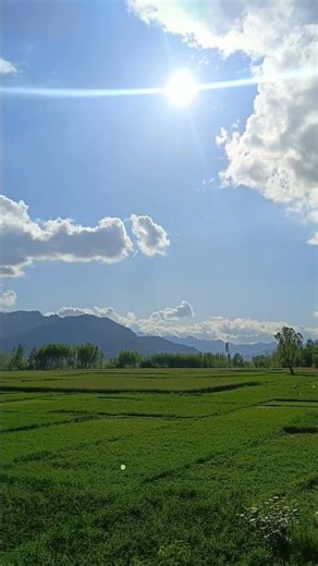 #yasseraldossary #surahyasinmubinkitakrar Masha Allah beautiful place 💞🖼️🖼️🥀🥀