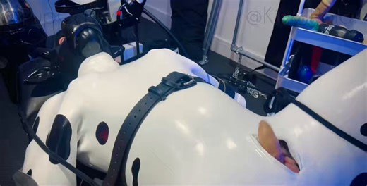 RT @PupCassy: @kink_polar’s cow transformation treatment. Bound tight : Struggles reduced : energy guided to udder growth : prostate nurs…