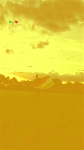 Understanding the Symbolism of Kurdish Freedom Movements