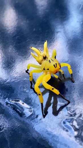 Strange Encounters: Unveiling the Mystery of the Alien Spider