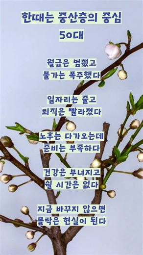 50대위기위기의 50대, 남의 이야기가 아닙니다.월급은 멈췄고 물가는 폭주,일자리는 줄고 노후는 다가옵니다.지금 50대가 몰락 위기에 놓인진짜 이유 5가지