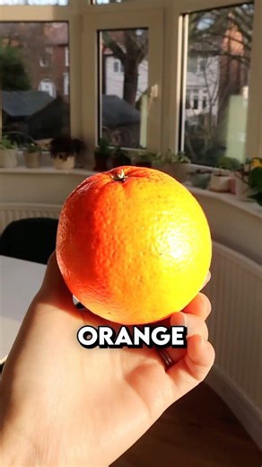 Box from an orange 🗿🍊