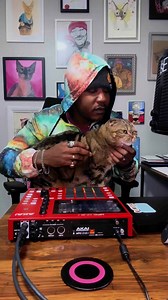 17K views · 1.7K reactions | Just cooking up some beats and freestyling. I’m just practicing having some fun again. If you wanna know some of the things I’m into this is one of the things that brings me happiness. So much more is on the way. Shoutout to my cat people. Lil Parmesan and myself love you all #LilParmesan #TheCatRapper #Freestyle #Producer | Iammoshow | Facebook