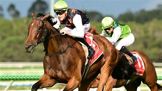 Ahrens daring to dream with $3000 bargain buy