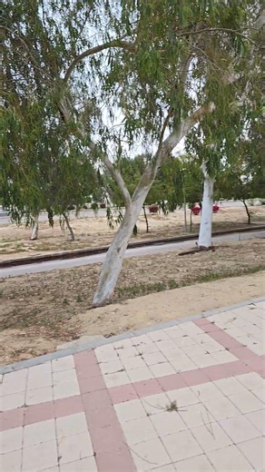 سورة الفاتحة