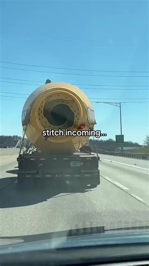 #stitch with @Pebble Balboa and that’s a fact #rosetoy #vibes #bellesa #fyp