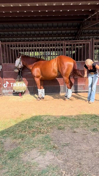 Come Barrel Race with @Addison Byars at NRS #barrelracer #horses #summer #barrelracingtok #texas #momsoftiktok #behindthescenes
