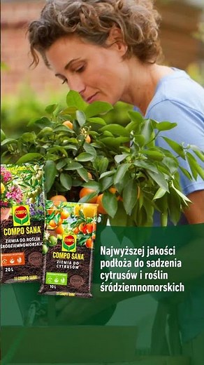 Rośliny śródziemnomorskie i cytrusy - pielęgnacja z COMPO