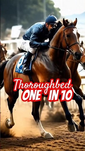 Top 10 Fastest Horse Breeds In The World 🐎Thoroughbred 🐎 #shorts