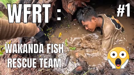 Puluhan Green Monster Terjebak Dibawah Pohon Tua