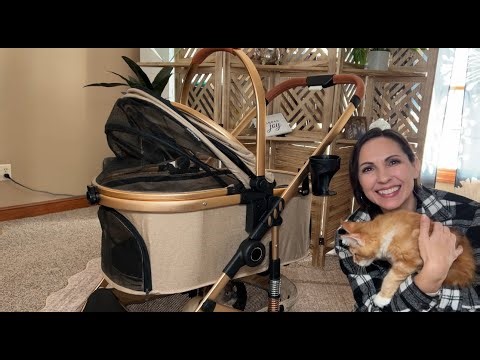 HONEST REVIEW - Pettingzoo Trendy and Easy to use pet stroller