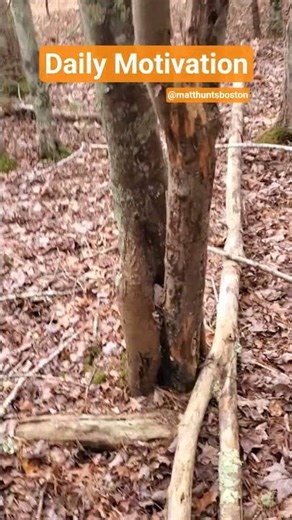 Daily Motivation #inspiration #quotes #success