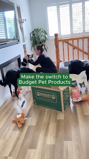 Discover a world of pet perfection at 𝗕𝘂𝗱𝗴𝗲𝘁 𝗣𝗲𝘁 𝗣𝗿𝗼𝗱𝘂𝗰𝘁𝘀!🌟 Explore our extensive online store for a 𝗱𝗶𝘃𝗲𝗿𝘀𝗲 𝗿𝗮𝗻𝗴𝗲 of pet essentials, from top-notch pet food to effective flea, tick, and worming treatments. We've got grooming products, toys, treats, stylish clothes, cosy bedding, and everything else your furry friend craves! 🐾 𝗪𝗵𝘆 𝗰𝗵𝗼𝗼𝘀𝗲 𝘂𝘀? 📦 𝗙𝗿𝗲𝗲 𝗙𝗮𝘀𝘁 𝗦𝗵𝗶𝗽𝗽𝗶𝗻𝗴 on Orders Over $49* 💲 𝗣𝗿𝗲𝗺𝗶𝘂𝗺 Brands at 𝗔𝗳𝗳𝗼𝗿𝗱𝗮𝗯𝗹𝗲 Prices