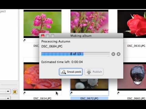 Making your first Jalbum album