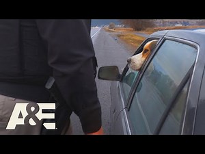 Live PD: Herro Officer? (Season 4) | A&E
