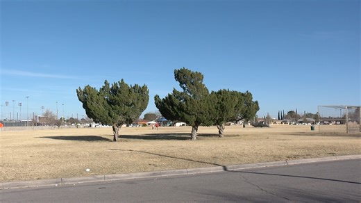 16-year-old arrested in connection to shots fired at Jim Crouch Park