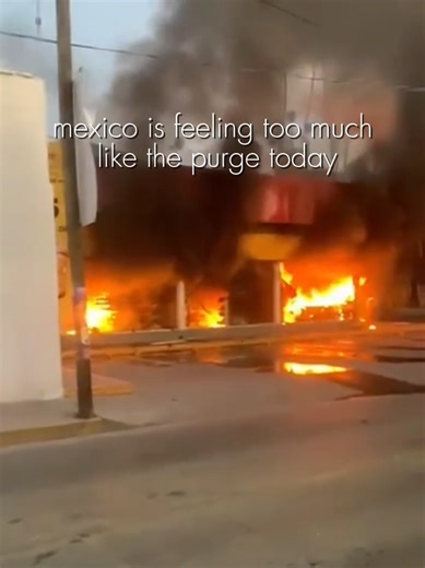 The Scary Purge Crisis in Mexico