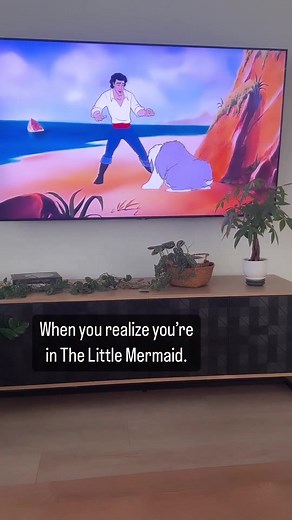 the_little_mermaid_world on TikTok