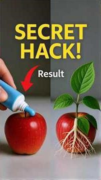 Grow a HUGE Apple Tree from Apple Fruit with a Crazy Trick Using a Banana!