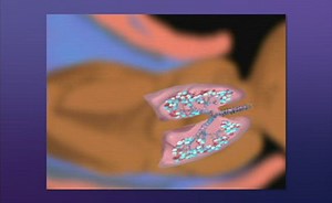 Sorry, we have encountered a problem. - Alexander Street, a ProQuest Company