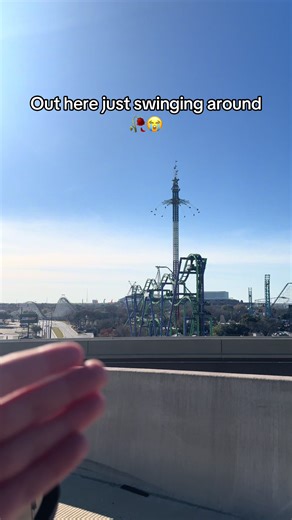 grown men at the amusement park😭