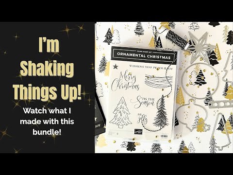 I’m Shaking Things Up! | Ornamental Christmas Card Tutorial