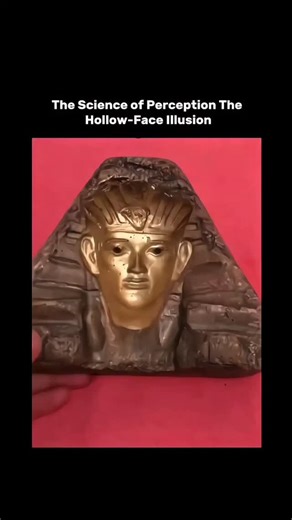 science || tech || history on Instagram: "The Illusion of Reality: How Your Brain Rewrites the World 🧠🎭 The Hollow-Face Illusion isn't just a trick of the light—it’s a profound demonstration of Top-Down Processing. Your brain doesn't just record the world; it actively predicts it based on a lifetime of geometric expectations. It’s not a glitch in the mask—it’s a masterpiece of evolutionary survival. Your brain prioritizes "making sense" over "being right." 🌍 #CognitiveScience #HollowFaceIllus