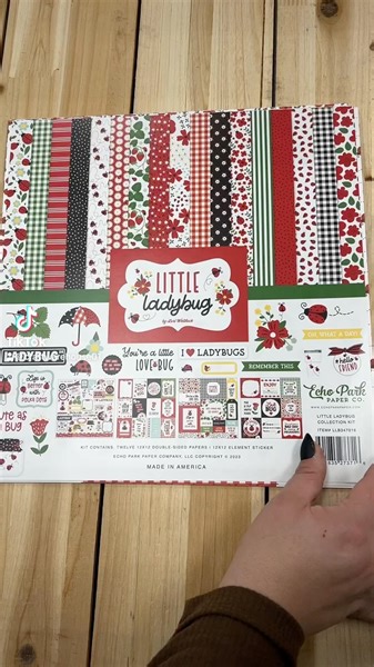 What would you make with Little Ladybug paper collection. 🐞🐞🐞#craftwarehouse #papercraft #scrapbooking #echoparkpaper #crafts #craftstore | Craft Warehouse
