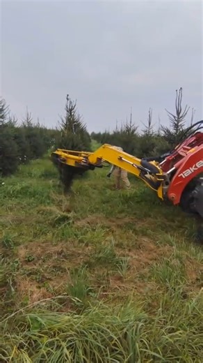 🔱🌲🧵 This is a 30" model of our Dutchman Tree Tyer. Designed mainly for conifers from 4-8 ft. An ideal unit for a Christmas Tree Farm. Tis the season! 📍 Portage Tree Farms | Rootstown, OH #DutchmanIndustries #TreeTyer #TreeNursery #TreeTransplanting #Landscaping #LandscapeIndustry | Dutchman Industries