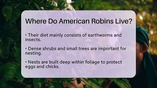 Where Do American Robins Live? - Ecosystem Essentials