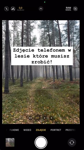 Zobacz jak zrobić fajne zdjęcie telefonem w lesie! Jesienią warto wybrać się do lasu więc jeśli chcecie zrobić sobie takie fajne zdjęcie to można to zrobić w bardzo łatwy sposób i tak naprawdę telefon nie ma tu większego znaczenia. Każdym to ogarniecie! #mobilnafotografia #las #jesien | Mazurek Photographer